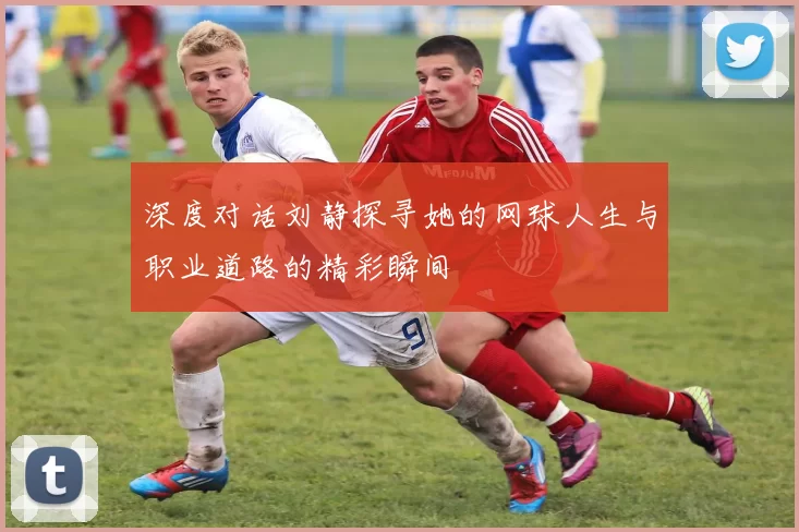 深度对话刘静探寻她的网球人生与职业道路的精彩瞬间