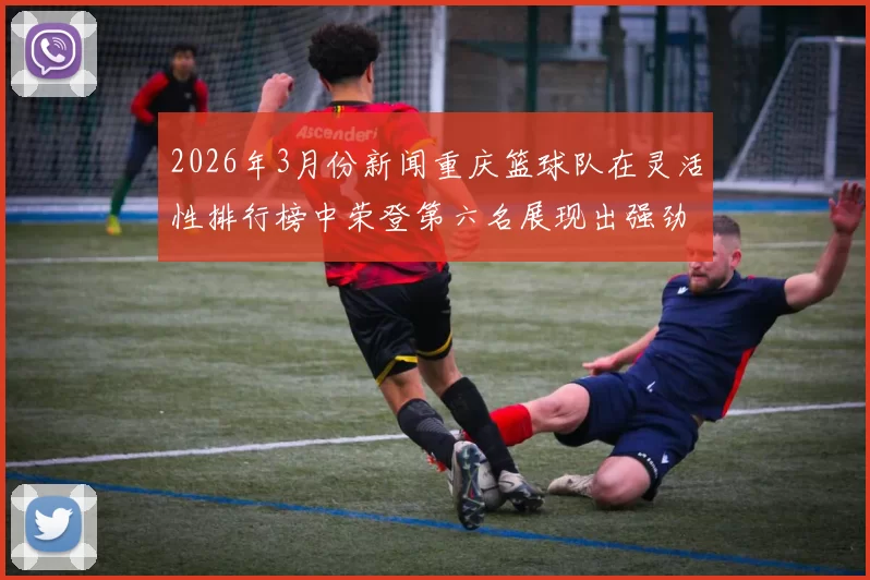2026年3月份新闻重庆篮球队在灵活性排行榜中荣登第六名展现出强劲实力与潜力