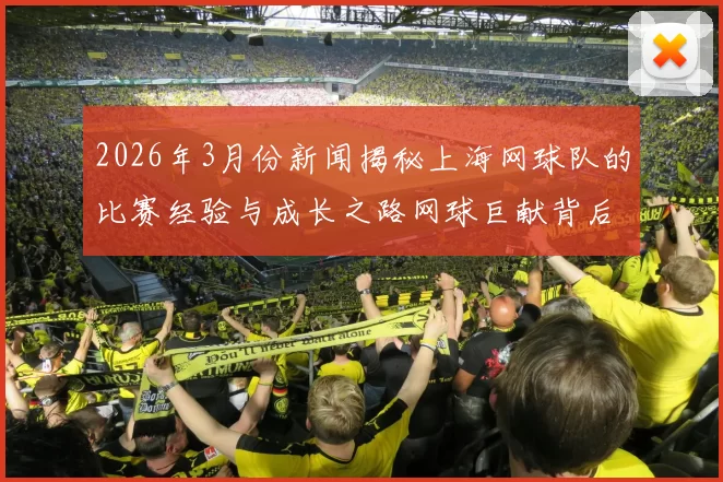 2026年3月份新闻揭秘上海网球队的比赛经验与成长之路网球巨献背后的故事